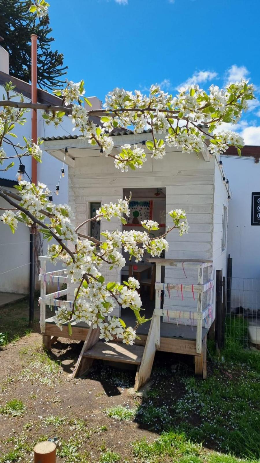 Apartamento Hol Gok Patagonia Esquel Exterior foto