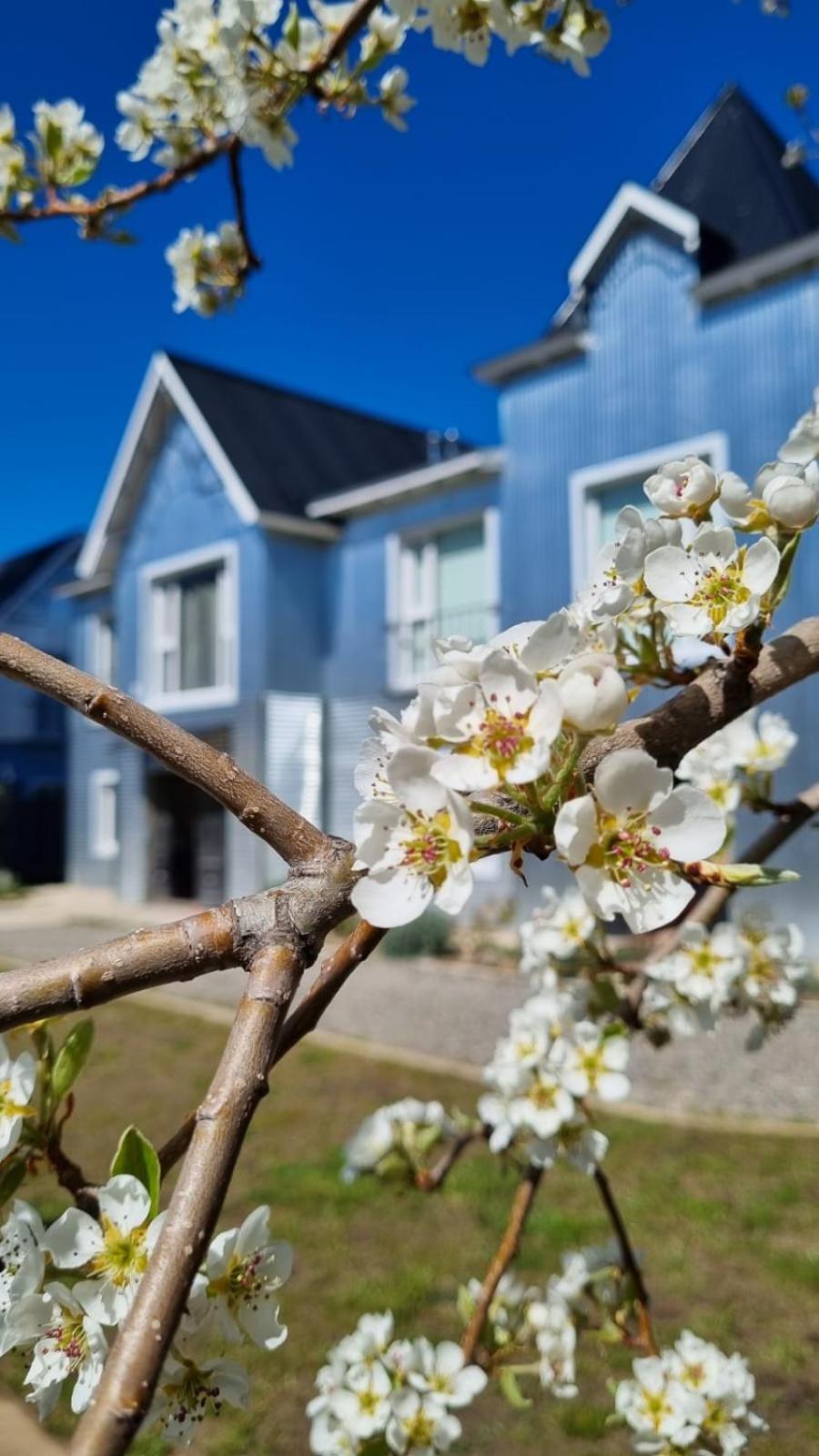 Apartamento Hol Gok Patagonia Esquel Exterior foto